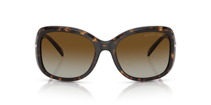 Prada Sunglasses Tortoise-Polar Brown Gradient | PRADA PR 04ZS Tortoise-Polar Brown Gradient