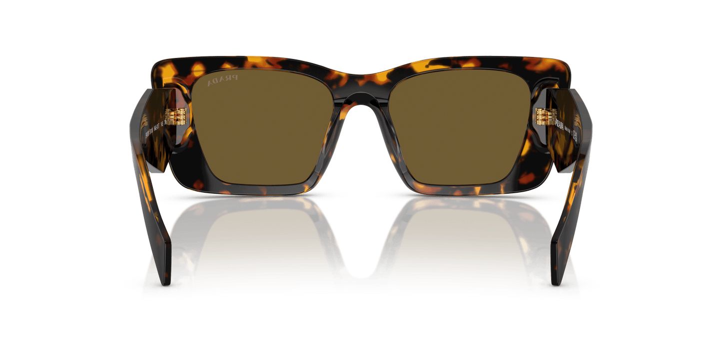 Prada Sunglasses Honey Tortoise-Dark Brown | PRADA PR 08YS Honey Tortoise-Dark Brown