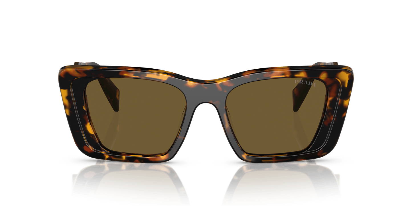 Prada Sunglasses Honey Tortoise-Dark Brown | PRADA PR 08YS Honey Tortoise-Dark Brown