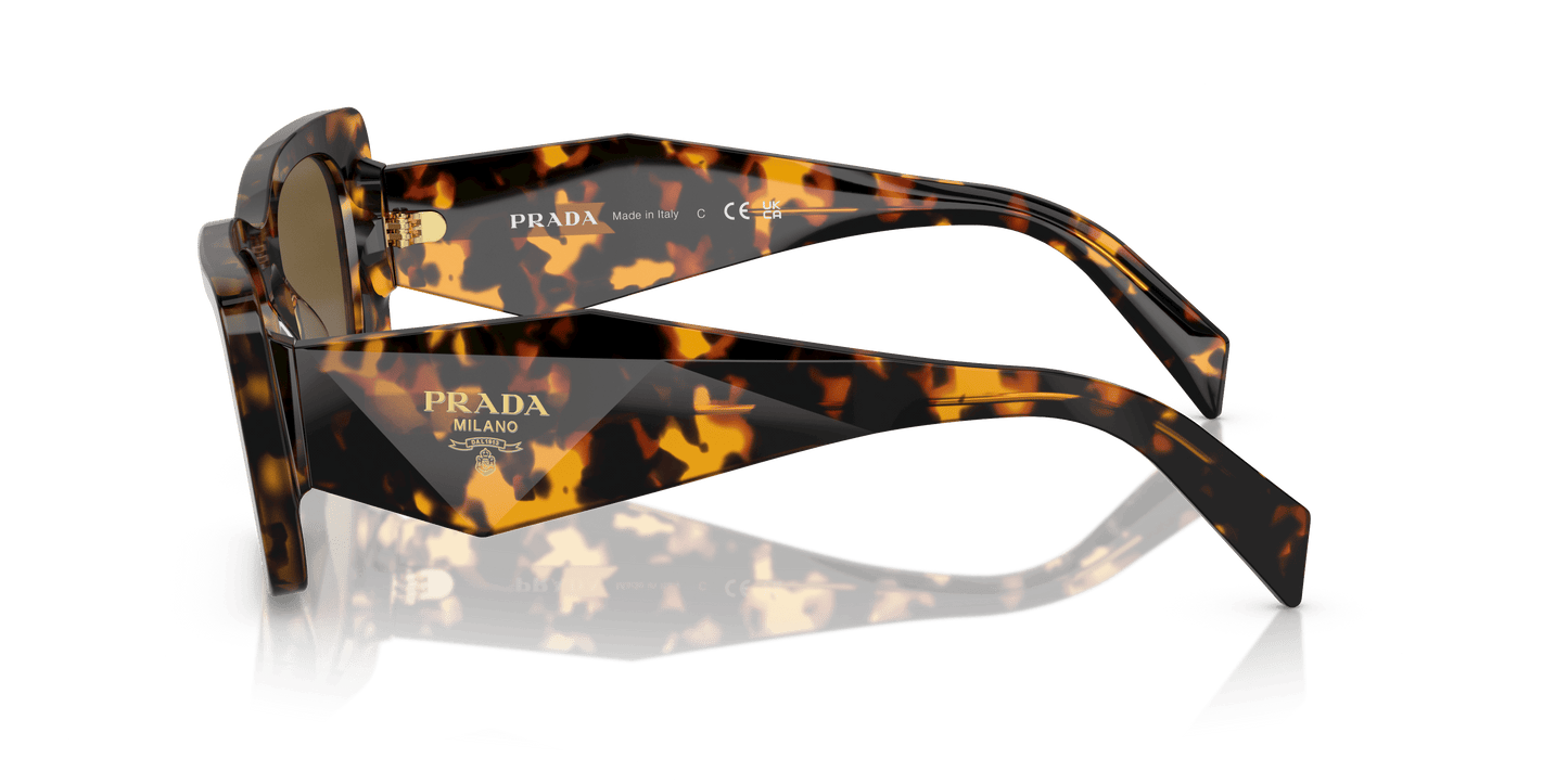 Prada Sunglasses Honey Tortoise-Dark Brown | PRADA PR 08YS Honey Tortoise-Dark Brown