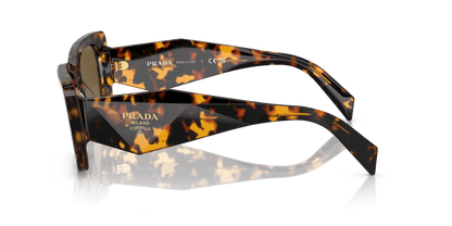 Prada Sunglasses Honey Tortoise-Dark Brown | PRADA PR 08YS Honey Tortoise-Dark Brown