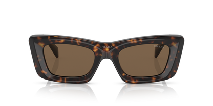 Prada Sunglasses Tortoise-Dark Brown | PRADA PR 13ZS Tortoise-Dark Brown