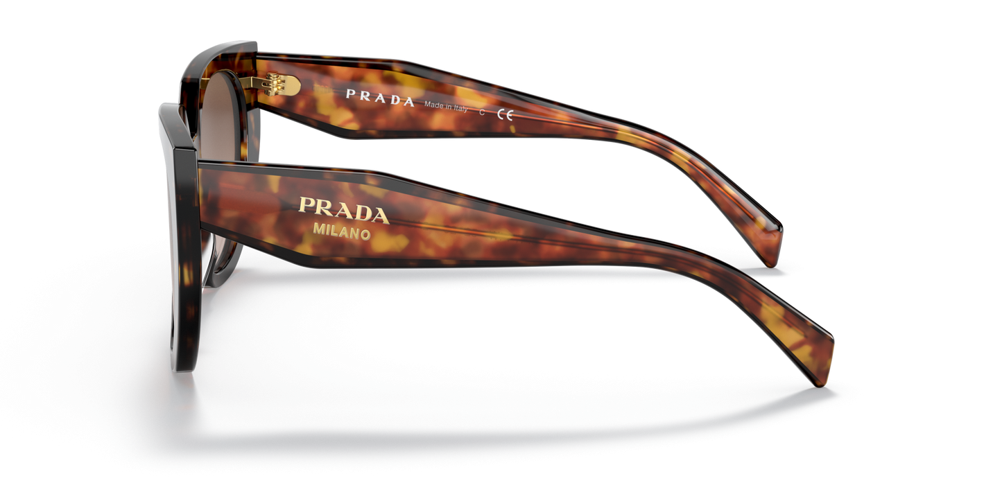 משקפי שמש פראדה צב-חום שיפוע | PRADA PR 14WS Tortoise-Brown Gradient
