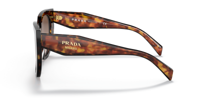משקפי שמש פראדה צב-חום שיפוע | PRADA PR 14WS Tortoise-Brown Gradient