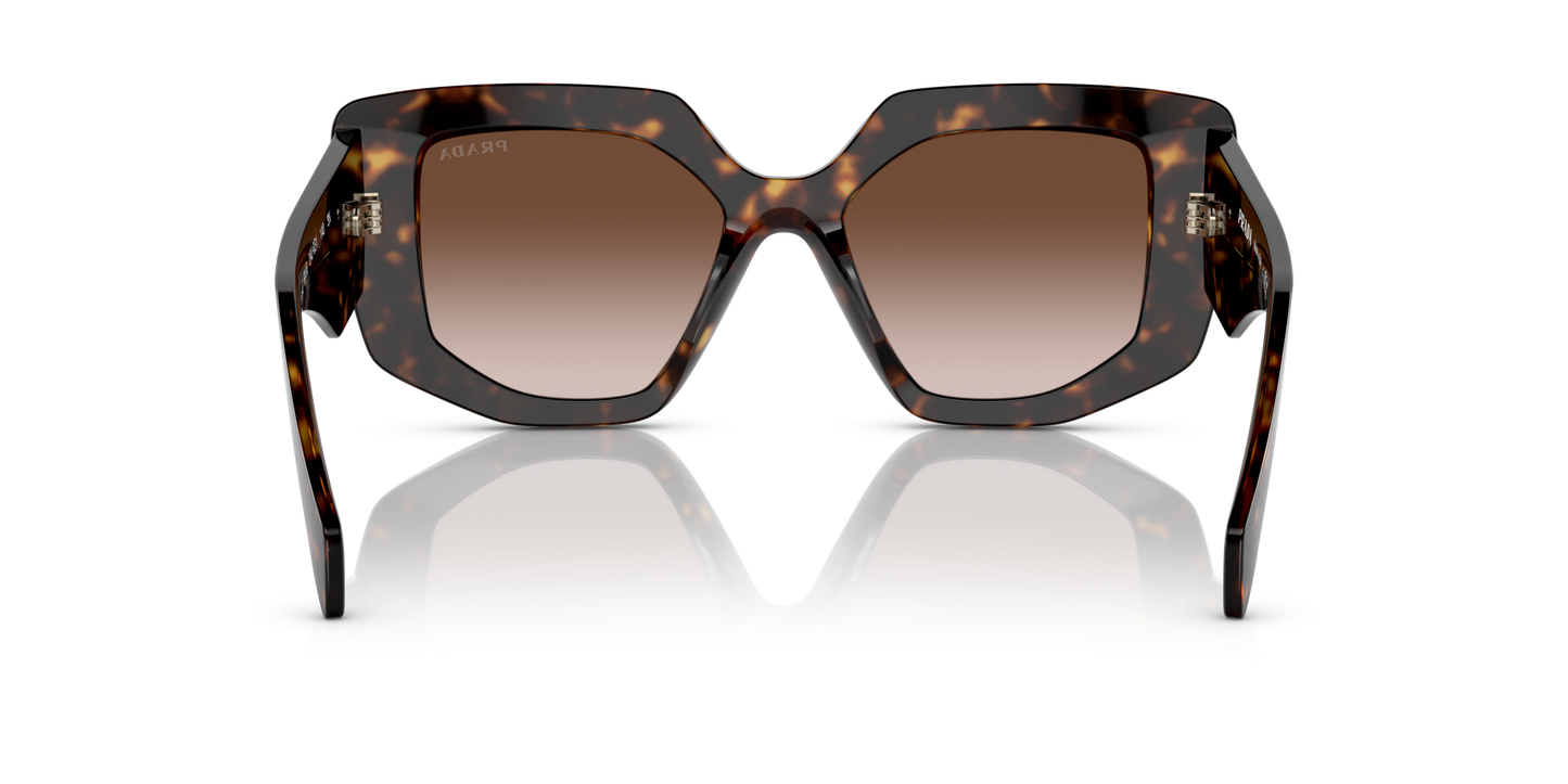 Prada Sunglasses Tortoise-Brown Gradient | PRADA PR 14ZS Tortoise-Brown Gradient