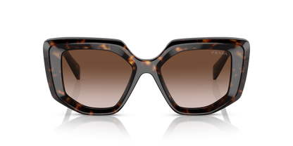 Prada Sunglasses Tortoise-Brown Gradient | PRADA PR 14ZS Tortoise-Brown Gradient