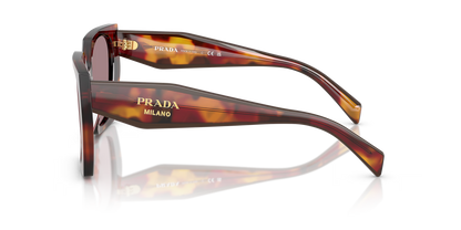 משקפי שמש פראדה צב-סיגלית | Prada PR 15WS Tortoise-Violet