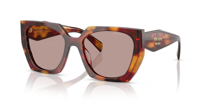 משקפי שמש פראדה צב-סיגלית | Prada PR 15WS Tortoise-Violet