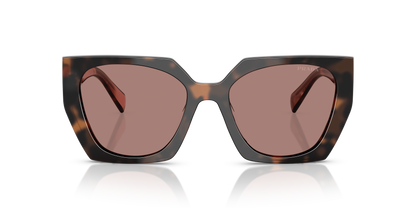 Prada Sunglasses Tortoise-Brown | Prada PR 15WS Tortoise-Brown