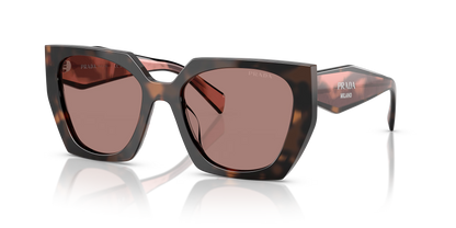 Prada Sunglasses Tortoise-Brown | Prada PR 15WS Tortoise-Brown