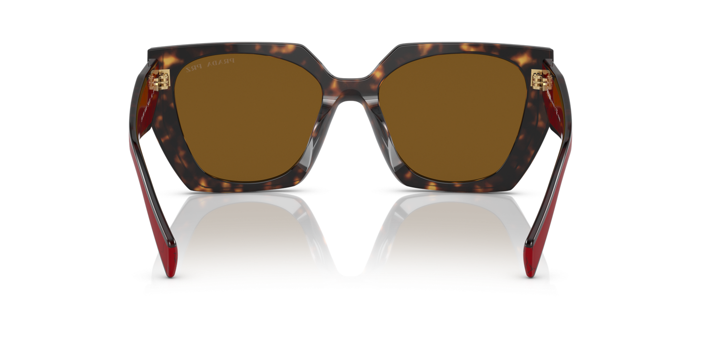 Prada Sunglasses Tortoise-Dark Brown Polar | PRADA PR 15WS Tortoise-Dark Brown Polar