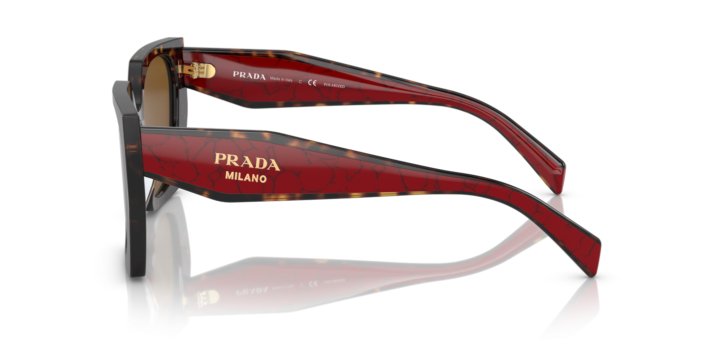Prada Sunglasses Tortoise-Dark Brown Polar | PRADA PR 15WS Tortoise-Dark Brown Polar