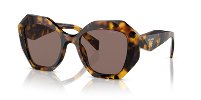 Prada Sunglasses Honey Tortoise-Polar Light Brown | PRADA PR 16WS Honey Tortoise-Polar Light Brown