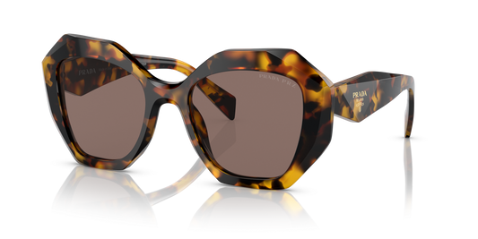 Prada Sunglasses Honey Tortoise-Polar Light Brown | PRADA PR 16WS Honey Tortoise-Polar Light Brown