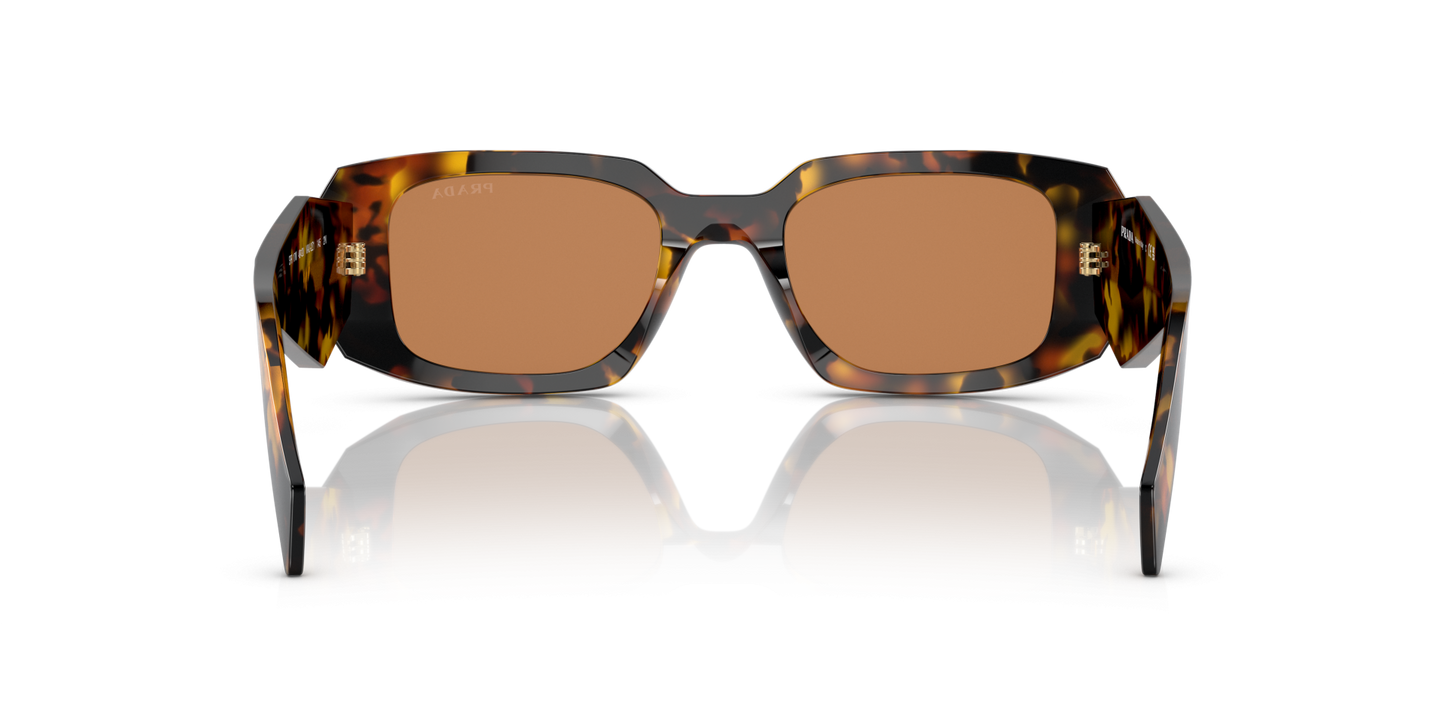 Prada Sunglasses Honey Tortoise-Dark Brown | PRADA PR 17WS Honey Tortoise-Dark Brown