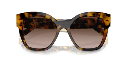 משקפי שמש פראדה דבש צב-חום שיפוע | PRADA PR 17ZS Honey Tortoise-Brown Gradient