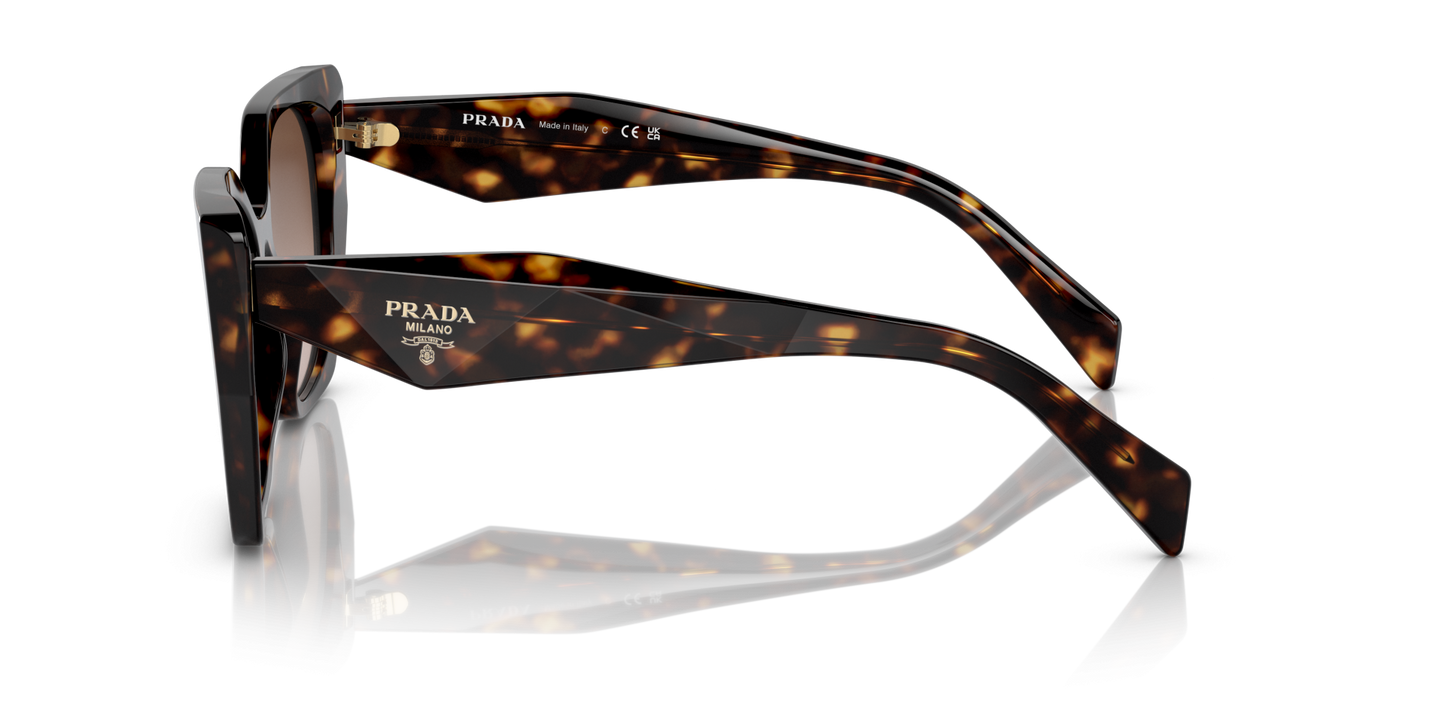 משקפי שמש פראדה צב-חום שיפוע | PRADA PR 19ZS Tortoise-Brown Gradient