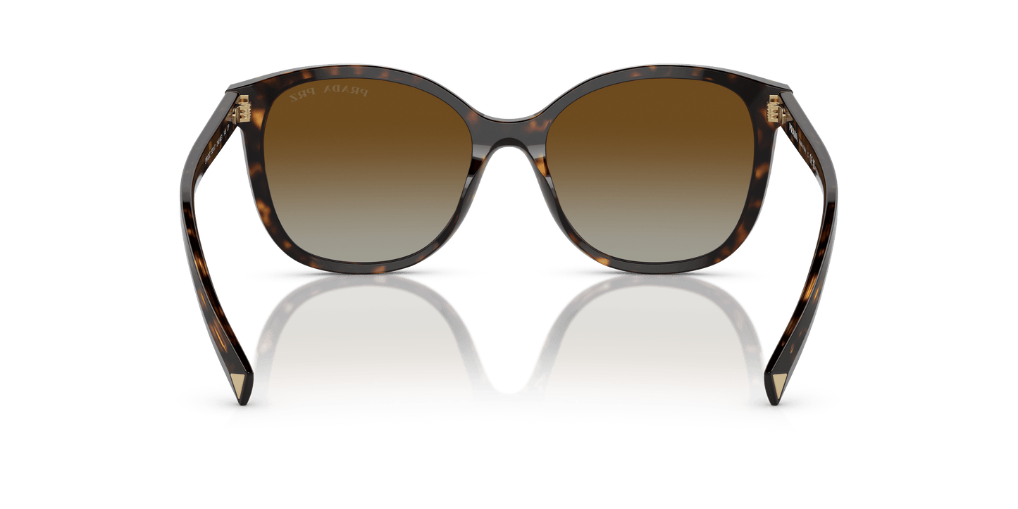 Prada Sunglasses Tortoise-Polar Brown Gradient | PRADA PR 22ZS Tortoise-Polar Brown Gradient