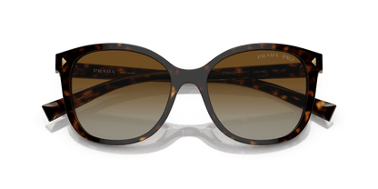 Prada Sunglasses Tortoise-Polar Brown Gradient | PRADA PR 22ZS Tortoise-Polar Brown Gradient