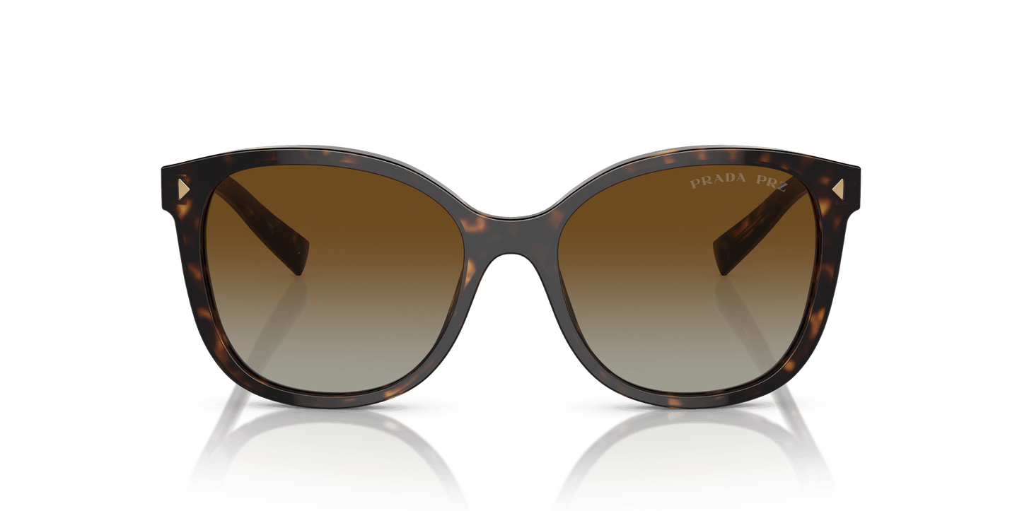 Prada Sunglasses Tortoise-Polar Brown Gradient | PRADA PR 22ZS Tortoise-Polar Brown Gradient