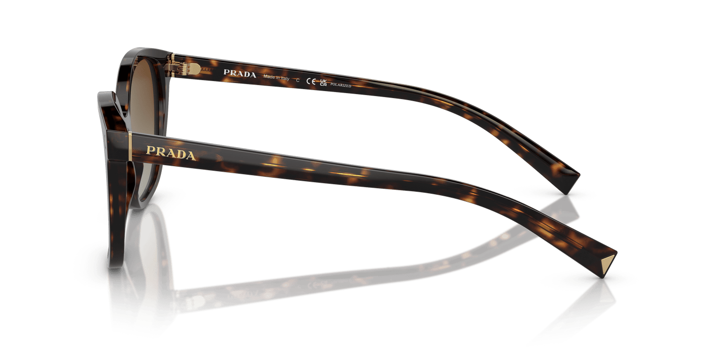 Prada Sunglasses Tortoise-Polar Brown Gradient | PRADA PR 22ZS Tortoise-Polar Brown Gradient