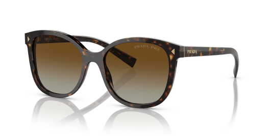 Prada Sunglasses Tortoise-Polar Brown Gradient | PRADA PR 22ZS Tortoise-Polar Brown Gradient
