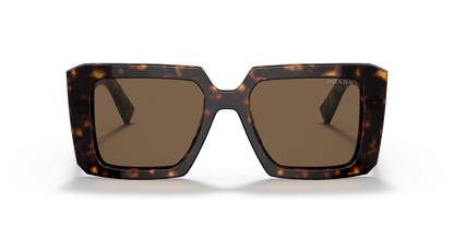 Prada Sunglasses Tortoise-Dark Brown | PRADA PR 23YS Tortoise-Dark Brown