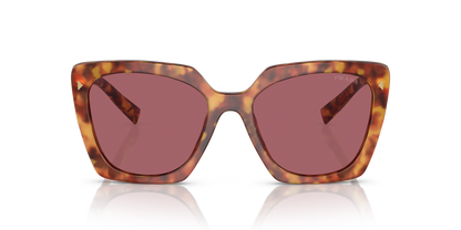 משקפי שמש פראדה צב-סגול | Prada PR 23ZS Tortoise-Violet