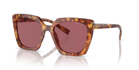 Prada Sunglasses Tortoise-Violet | Prada PR 23ZS Tortoise-Violet