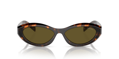 Prada Sunglasses Sage/Honey Tortoise-Dark Brown | PRADA PR 26ZS Sage/Honey Tortoise-Dark Brown