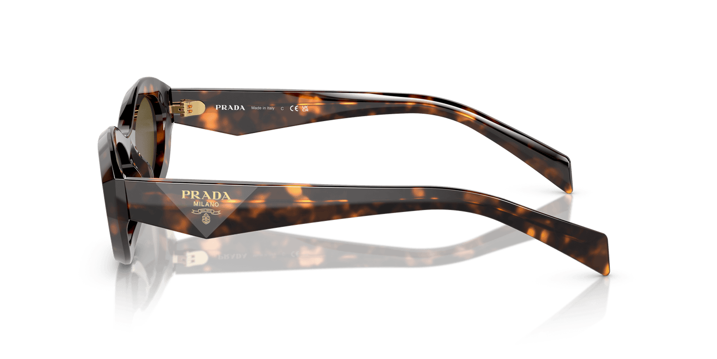 Prada Sunglasses Sage/Honey Tortoise-Dark Brown | PRADA PR 26ZS Sage/Honey Tortoise-Dark Brown