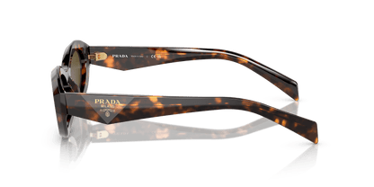 Prada Sunglasses Sage/Honey Tortoise-Dark Brown | PRADA PR 26ZS Sage/Honey Tortoise-Dark Brown