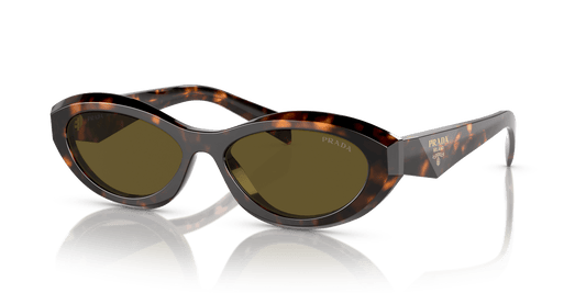 Prada Sunglasses Sage/Honey Tortoise-Dark Brown | PRADA PR 26ZS Sage/Honey Tortoise-Dark Brown