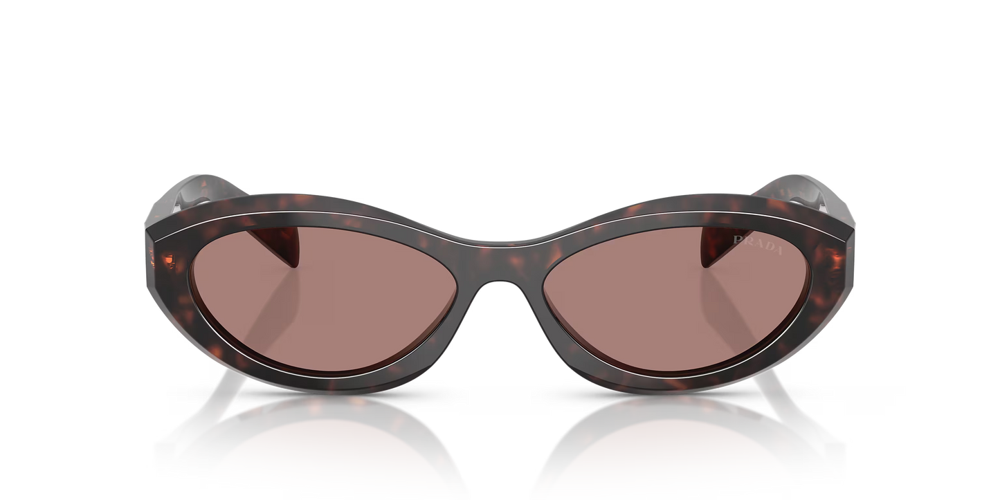 Prada Sunglasses Tortoise-Brown | Prada PR 26ZS Tortoise-Brown