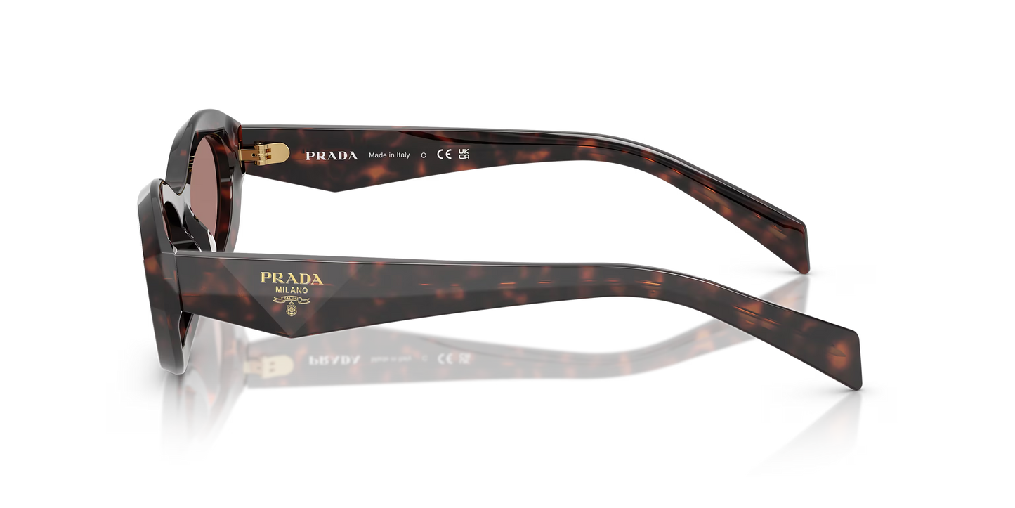 Prada Sunglasses Tortoise-Brown | Prada PR 26ZS Tortoise-Brown