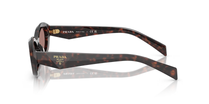 Prada Sunglasses Tortoise-Brown | Prada PR 26ZS Tortoise-Brown