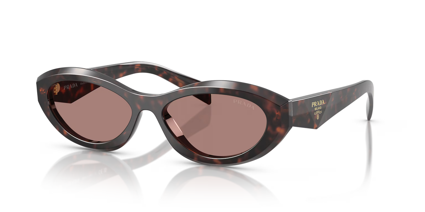 Prada Sunglasses Tortoise-Brown | Prada PR 26ZS Tortoise-Brown