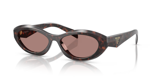 Prada Sunglasses Tortoise-Brown | Prada PR 26ZS Tortoise-Brown