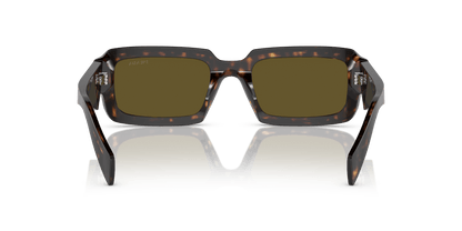 Prada PR 27ZS Loden/Black-Dark Brown Sunglasses