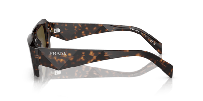 Prada PR 27ZS Loden/Black-Dark Brown Sunglasses