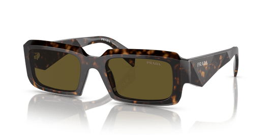 Prada PR 27ZS Loden/Black-Dark Brown Sunglasses