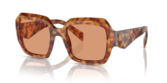 Prada Sunglasses Tortoise-Brown | Prada PR 28ZS Tortoise-Brown