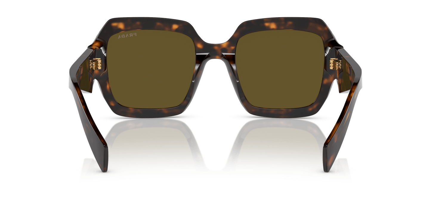 Prada Sunglasses Sage/Honey Tortoise-Dark Brown | PRADA PR 28ZS Sage/Honey Tortoise-Dark Brown