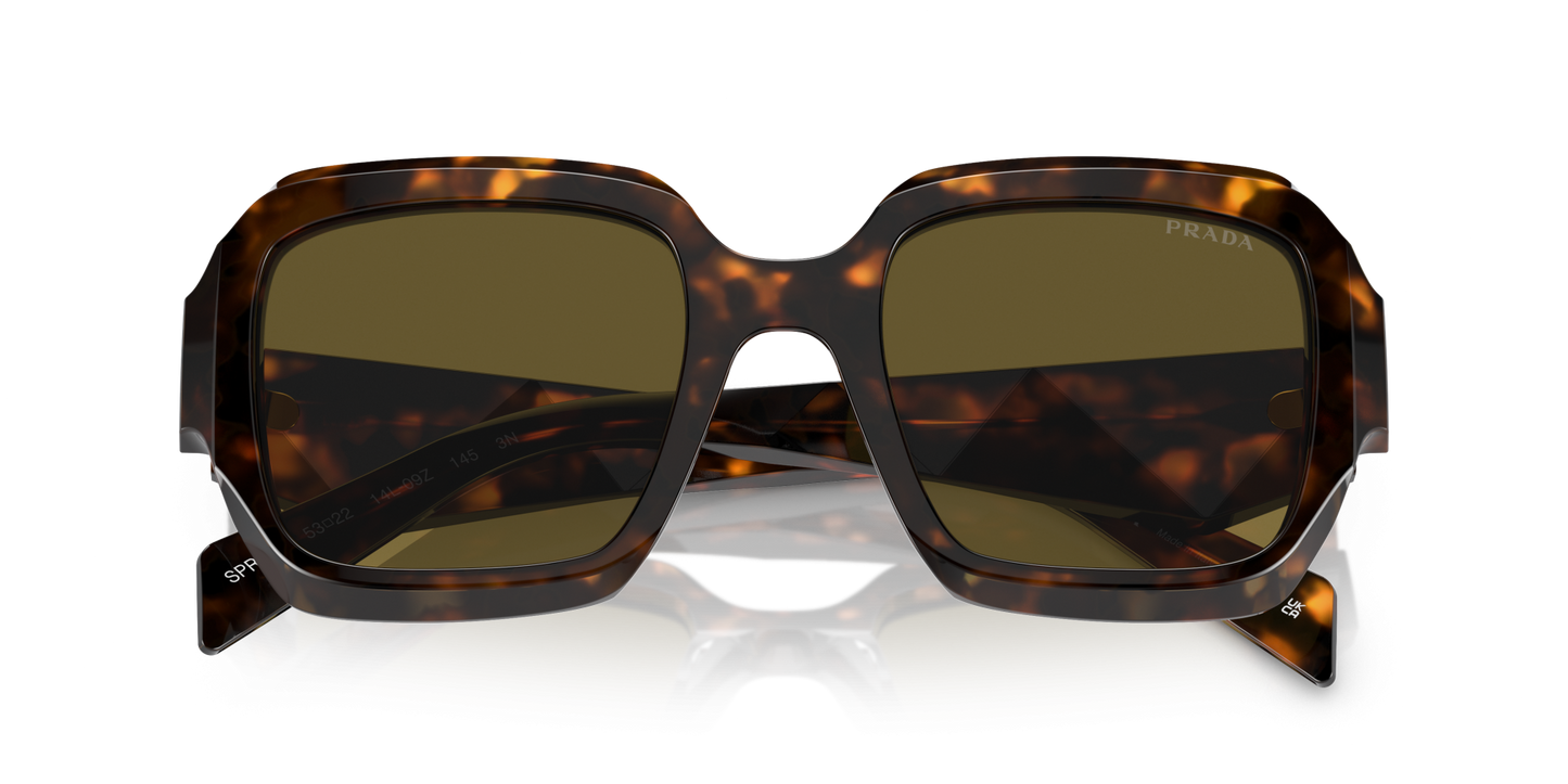 Prada Sunglasses Sage/Honey Tortoise-Dark Brown | PRADA PR 28ZS Sage/Honey Tortoise-Dark Brown