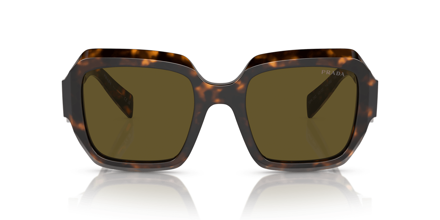 Prada Sunglasses Sage/Honey Tortoise-Dark Brown | PRADA PR 28ZS Sage/Honey Tortoise-Dark Brown