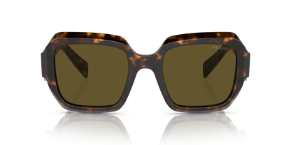 Prada Sunglasses Sage/Honey Tortoise-Dark Brown | PRADA PR 28ZS Sage/Honey Tortoise-Dark Brown