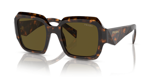 Prada Sunglasses Sage/Honey Tortoise-Dark Brown | PRADA PR 28ZS Sage/Honey Tortoise-Dark Brown
