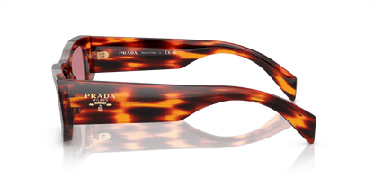 משקפי שמש פראדה הוואנה סגול אדום-כהה | PRADA PR A01S Havana Red-Dark Violet