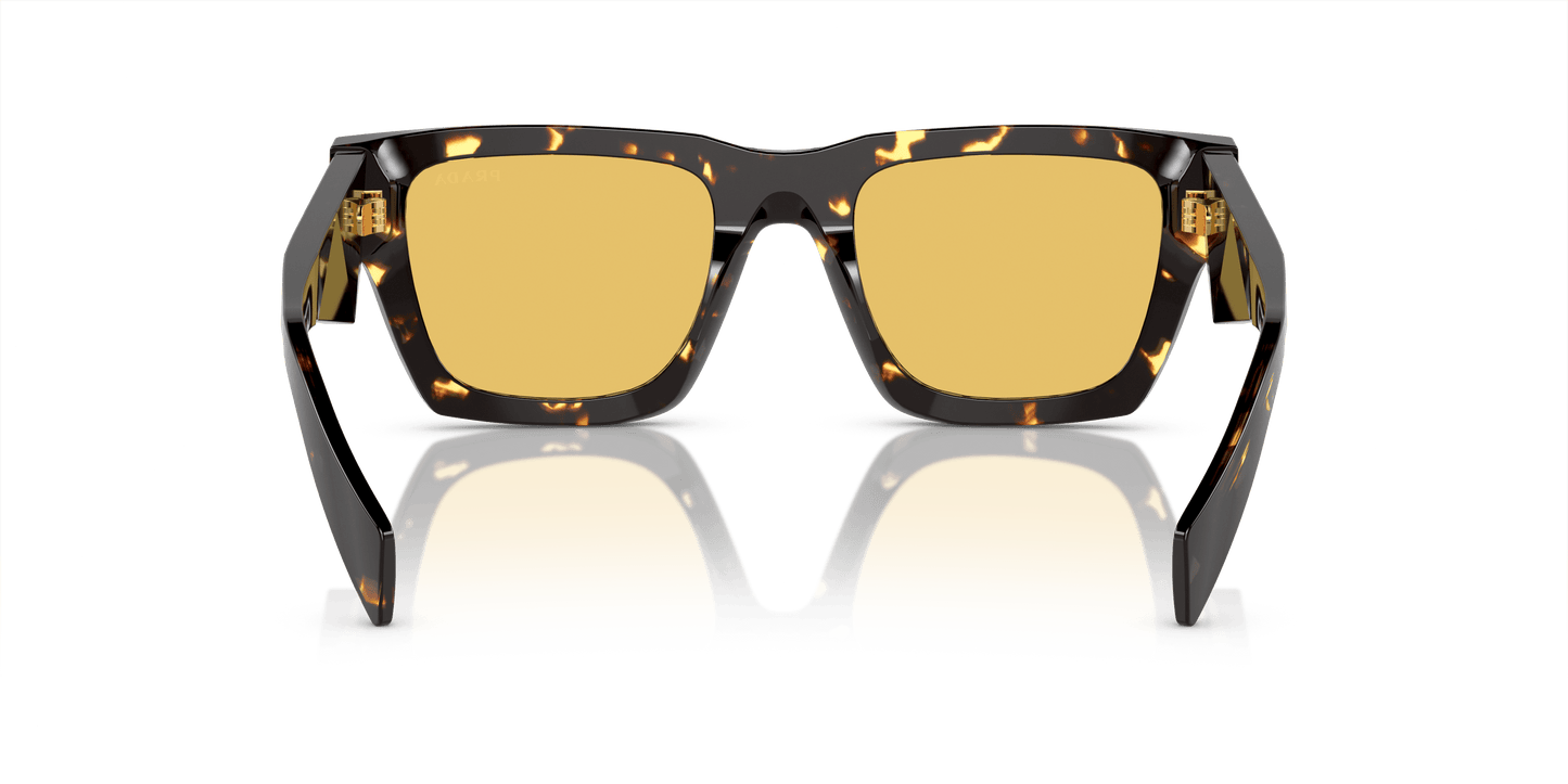 Prada Sunglasses Tortoise Black Malt-Yellow | Prada PR A06S Tortoise Black Malt-Yellow