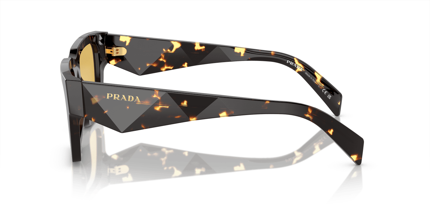 Prada Sunglasses Tortoise Black Malt-Yellow | Prada PR A06S Tortoise Black Malt-Yellow